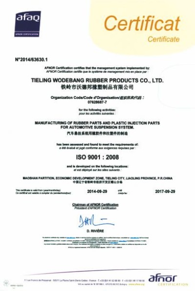 ISO9001 Certification（Chinese）